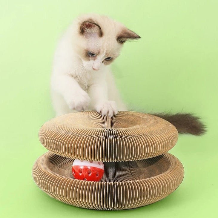 Dailypets Organ Style Cat Lounge – Foldable Scratch Board & Interactive Toy