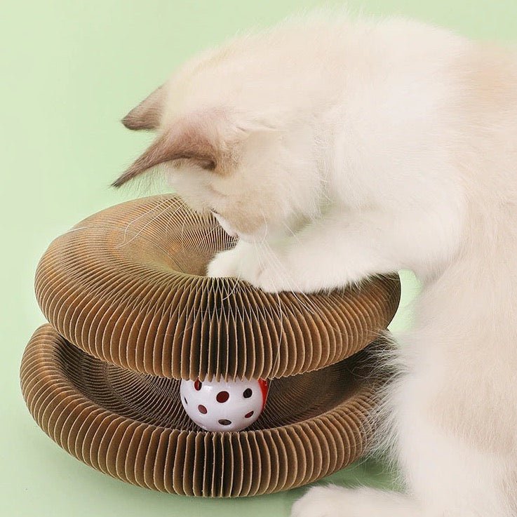 Dailypets Organ Style Cat Lounge – Foldable Scratch Board & Interactive Toy