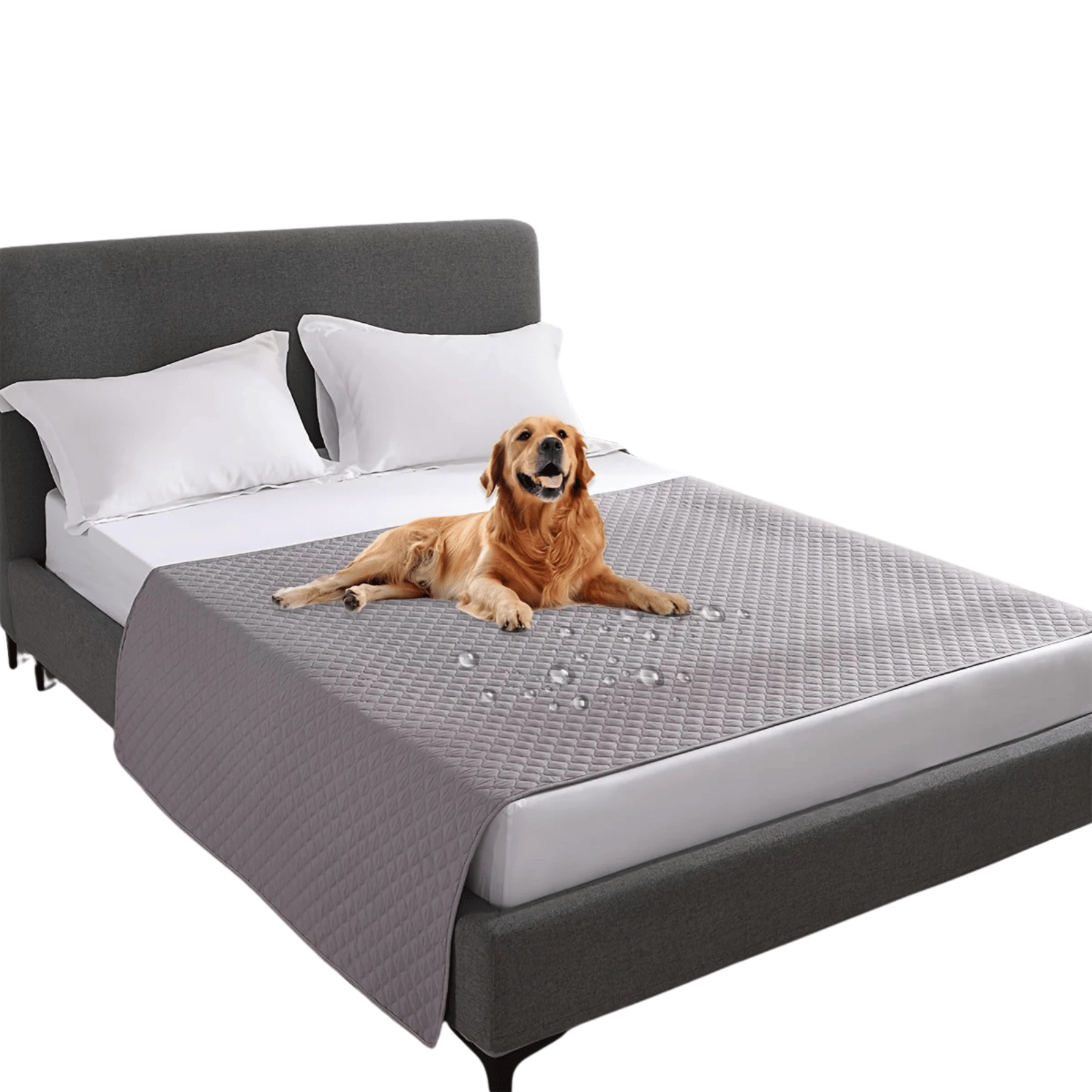 Dailypets Waterproof Pet Blanket with Non-Slip Backing for Furniture and Travel Use