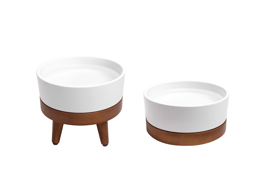 Dailypets Premium Pet Bowl, Water Bowl with Mid-Century Base