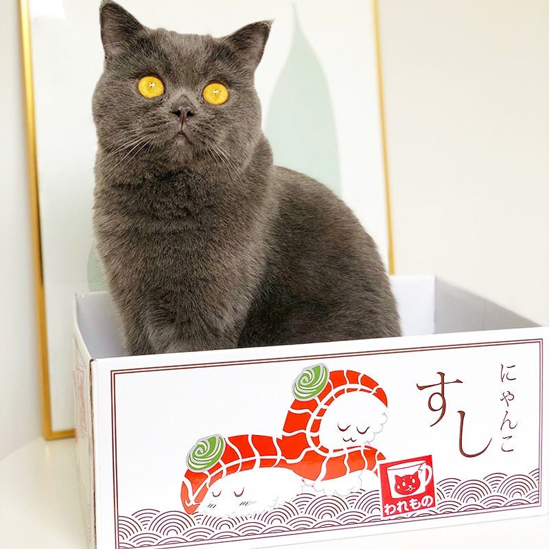 Dailypets Cozy Cat Box with Built-In Scratching Pad