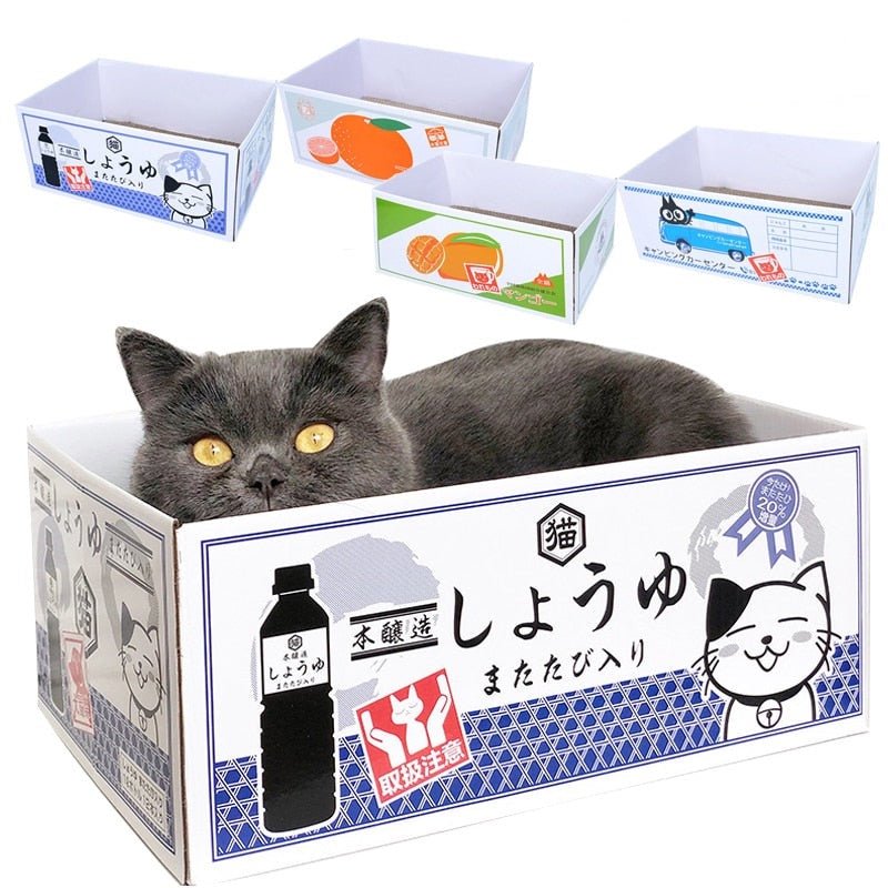 Dailypets Cozy Cat Box with Built-In Scratching Pad