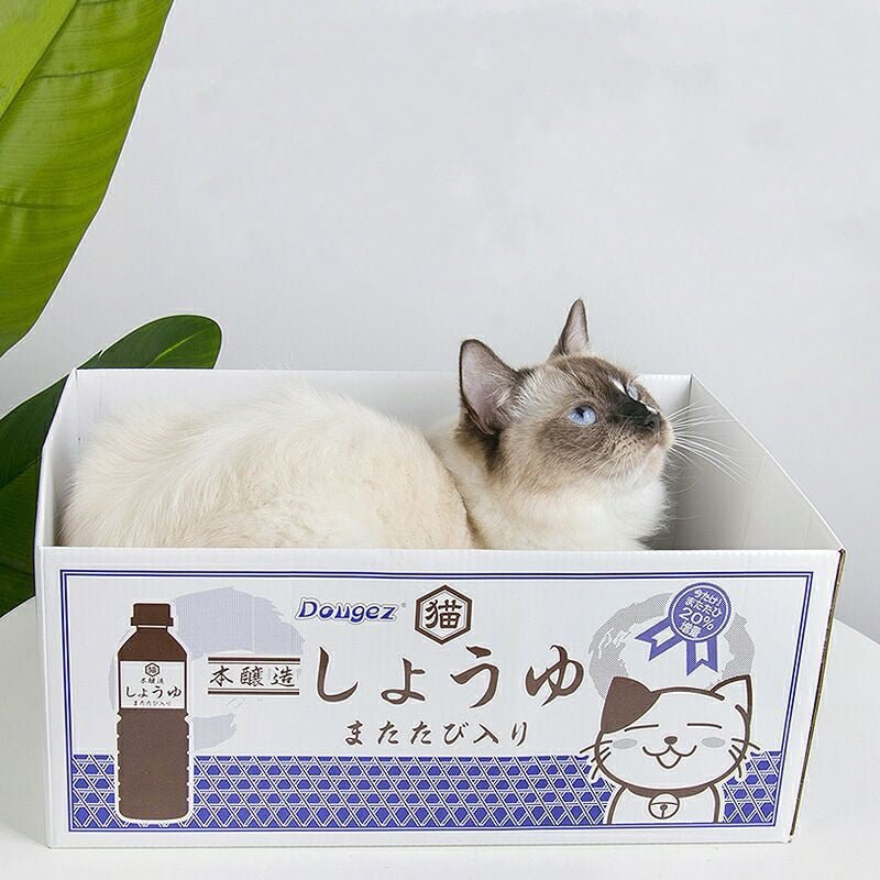 Dailypets Cozy Cat Box with Built-In Scratching Pad