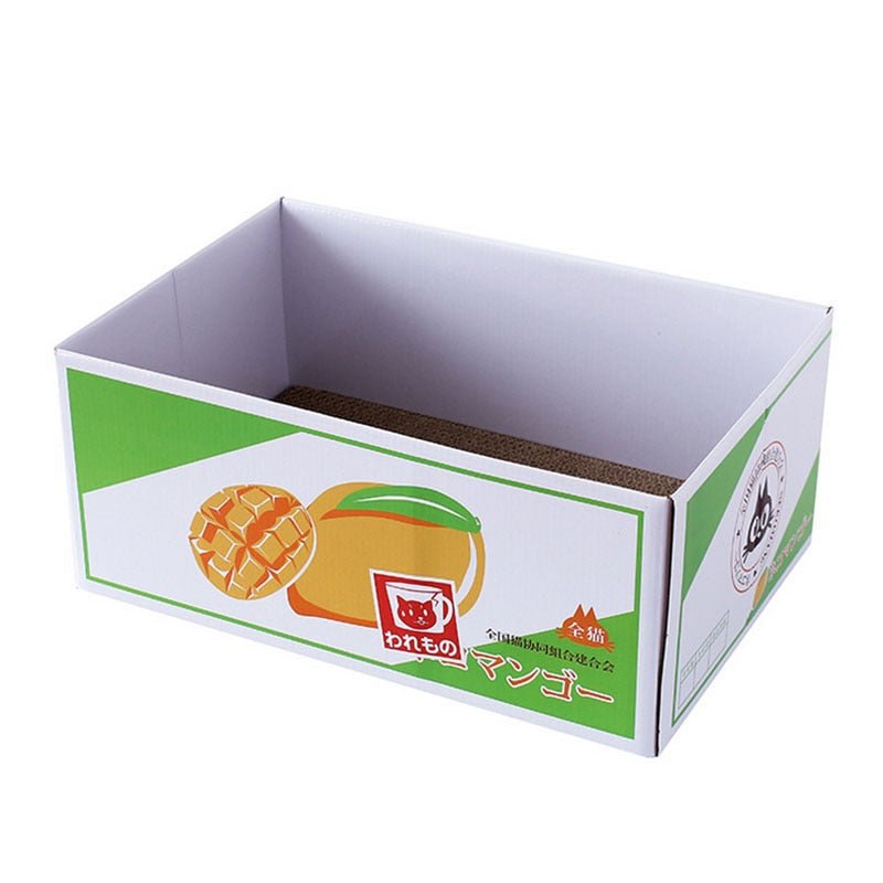 Dailypets Cozy Cat Box with Built-In Scratching Pad
