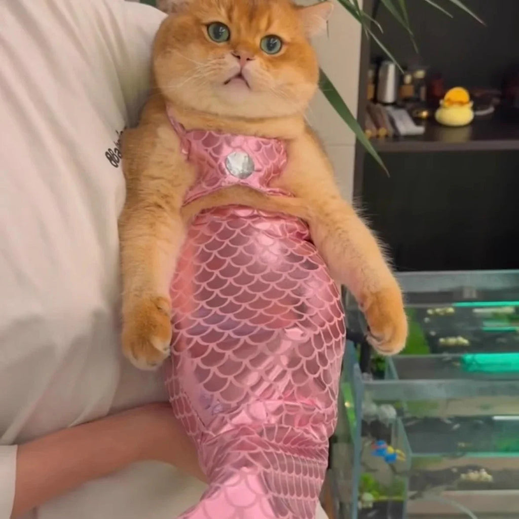 Dailypets Mermaid Cat Costume with Fish Scale Design and Matching Hair Bow