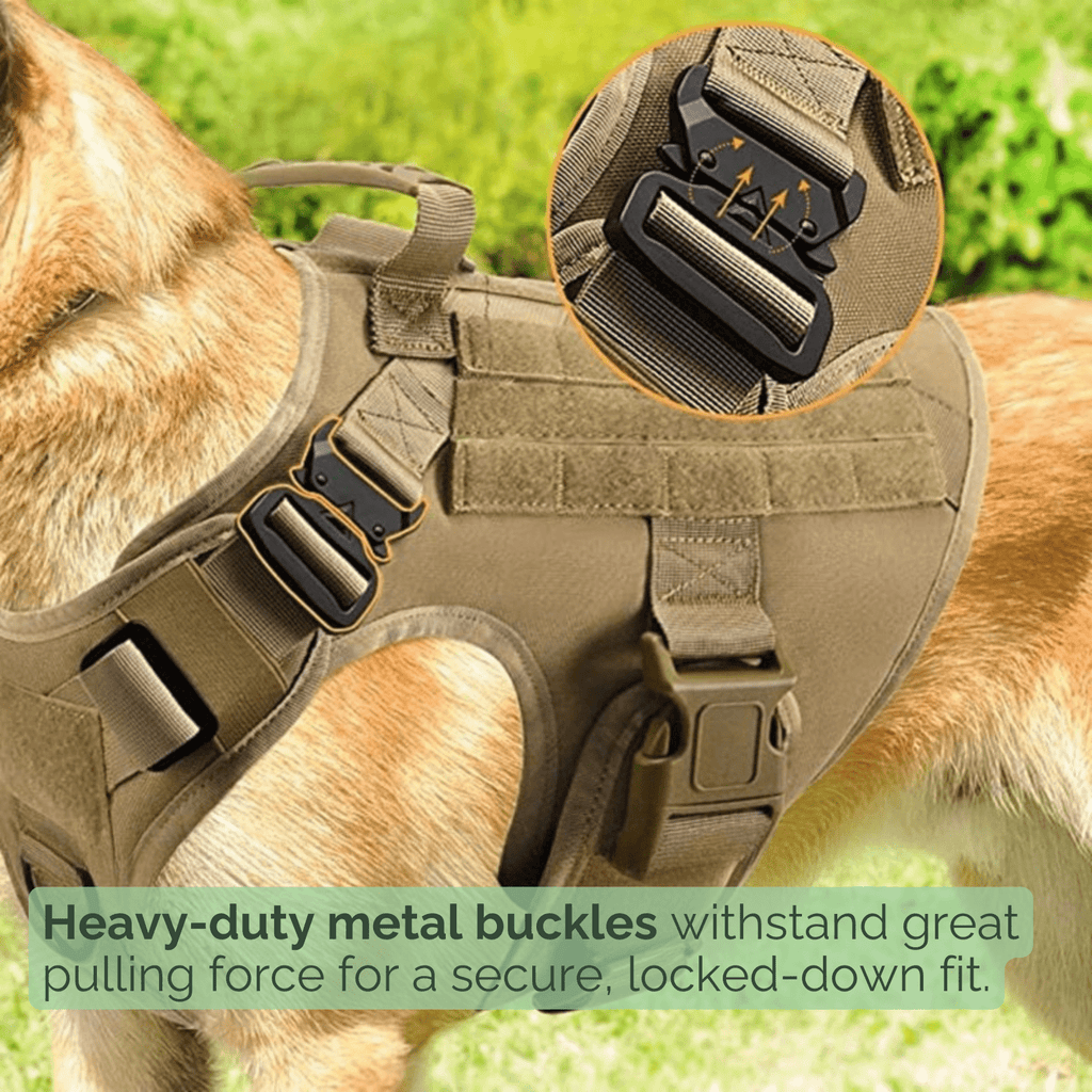 Dailypets Tactical Dog Harness with Handle & Leash for Training, Hiking & Outdoor Adventures