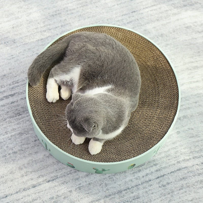 Dailypets Decorative Round Cat Scratch Nest
