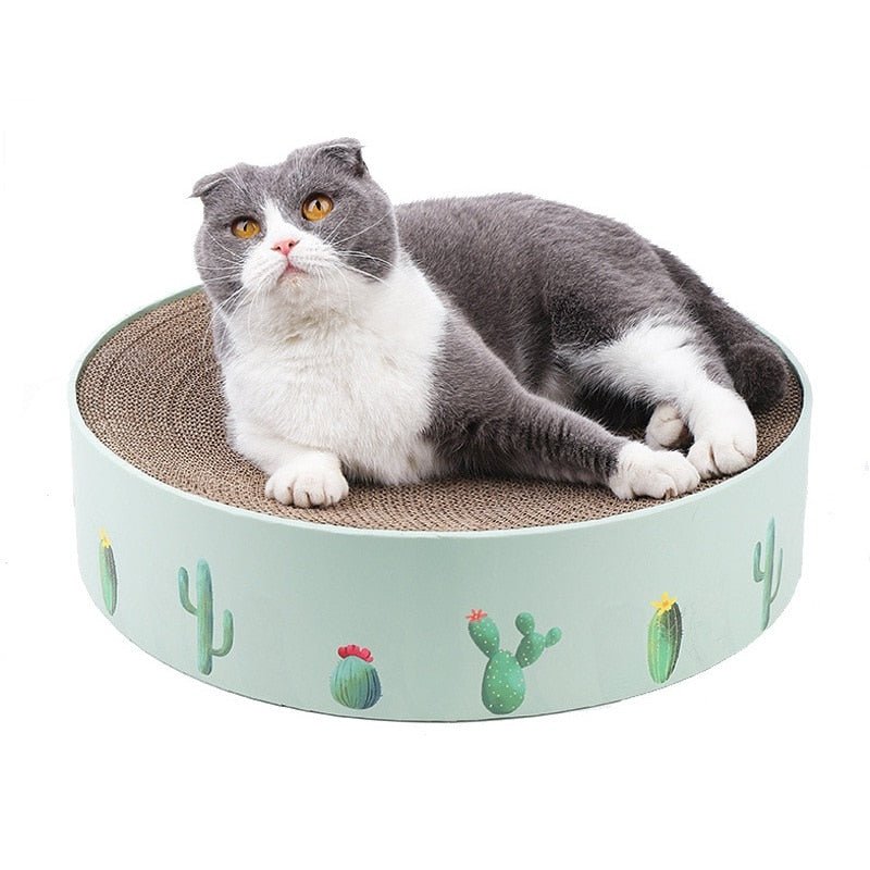 Dailypets Decorative Round Cat Scratch Nest