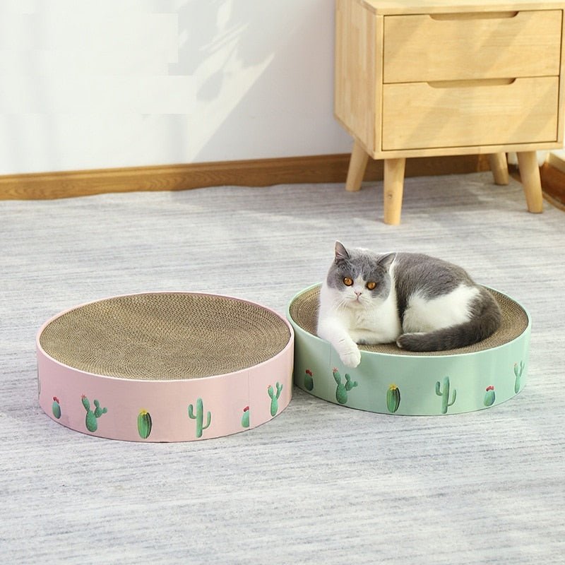 Dailypets Decorative Round Cat Scratch Nest