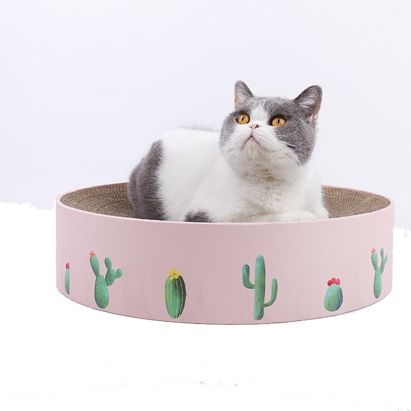 Dailypets Decorative Round Cat Scratch Nest