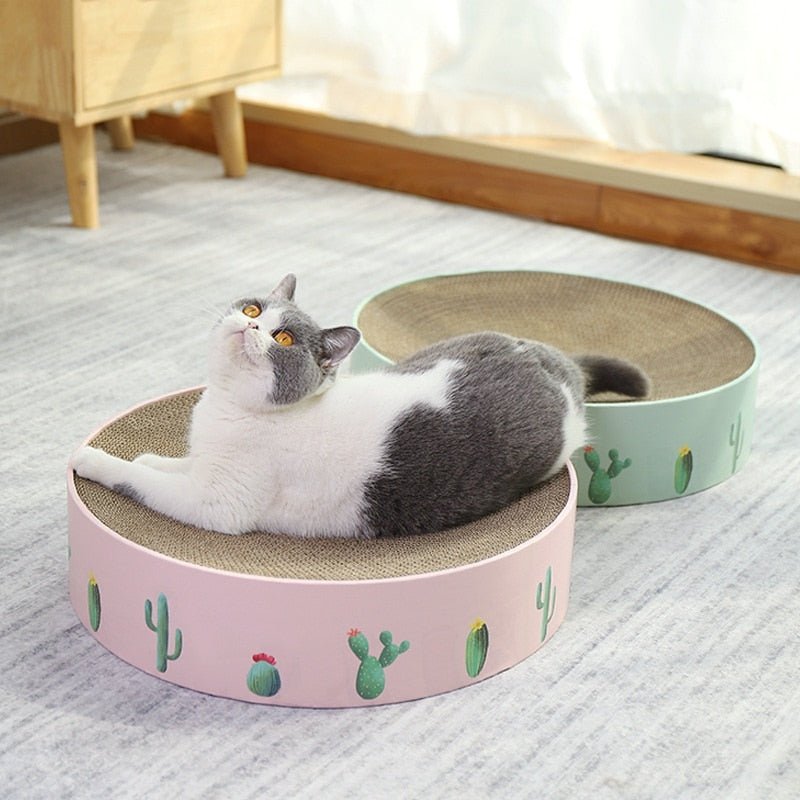 Dailypets Decorative Round Cat Scratch Nest