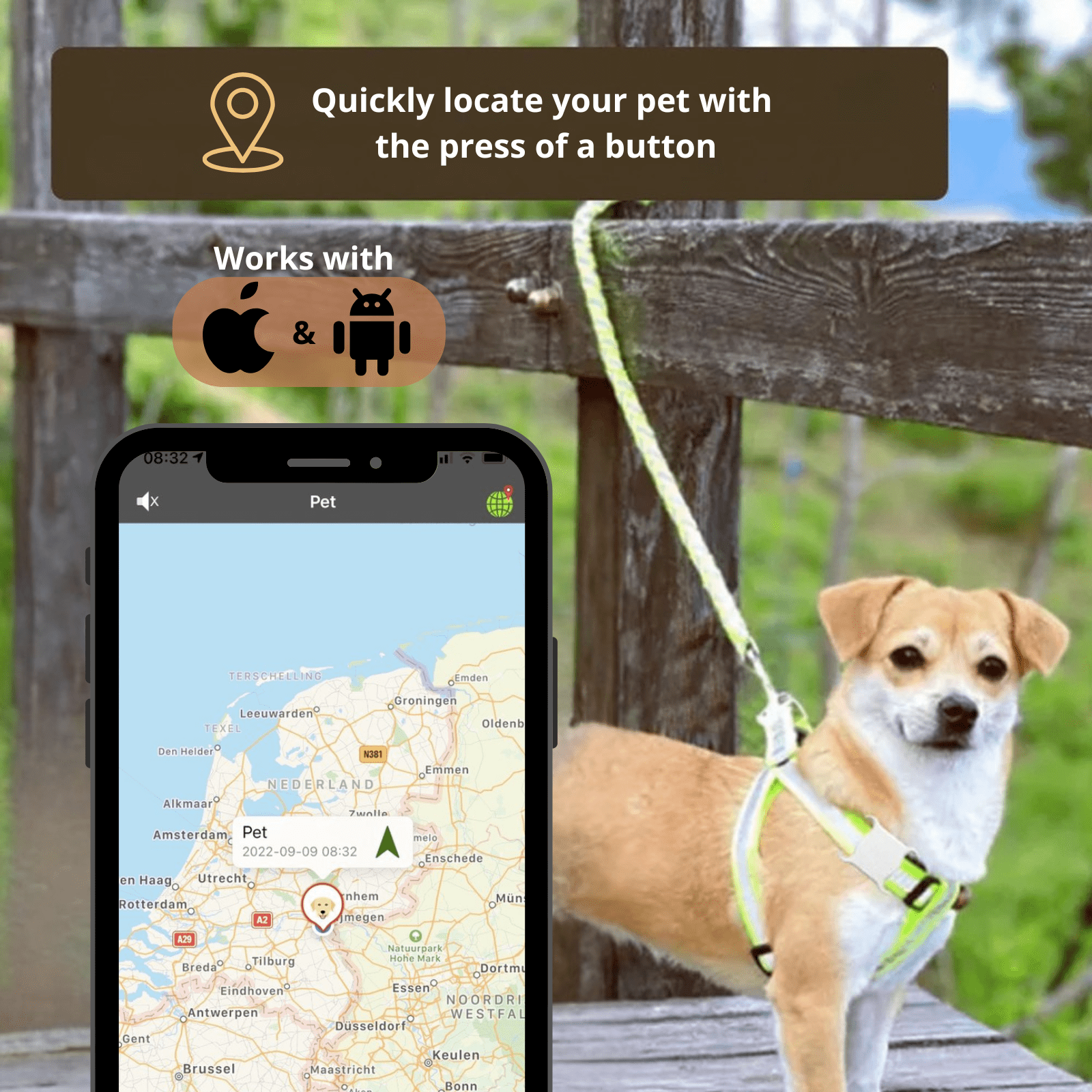 Dailypets Mini Bluetooth Pet Tracker with Find My Compatibility for Dogs and Cats