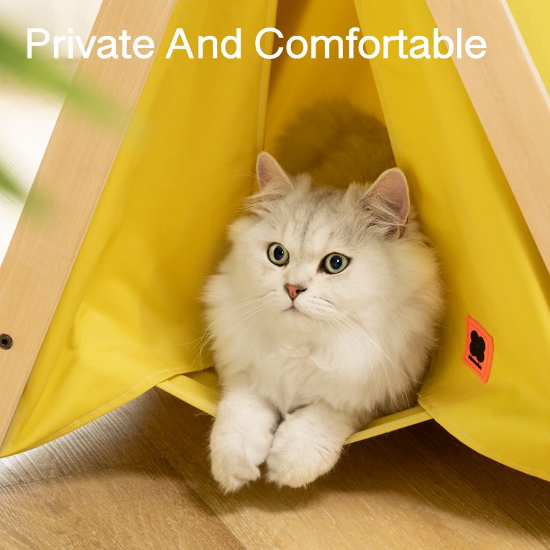 Dailypets Minimalist Cat Tent Bed – Stylish Indoor Cat Hideout