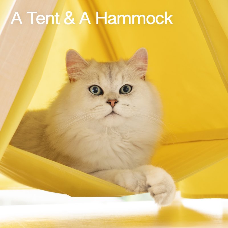 Dailypets Minimalist Cat Tent Bed – Stylish Indoor Cat Hideout