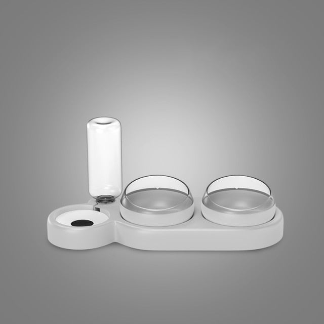 Dailypets Raised Cat Bowl Set, Food and Water Feeder for Daily Pet Care