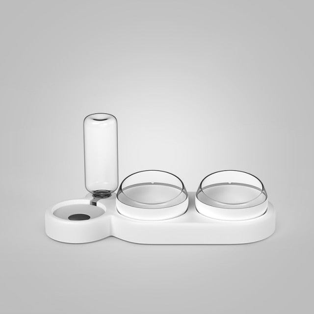 Dailypets Raised Cat Bowl Set, Food and Water Feeder for Daily Pet Care
