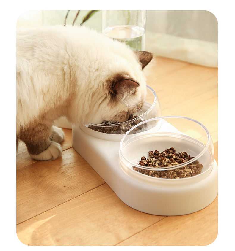 Dailypets Raised Cat Bowl Set, Food and Water Feeder for Daily Pet Care
