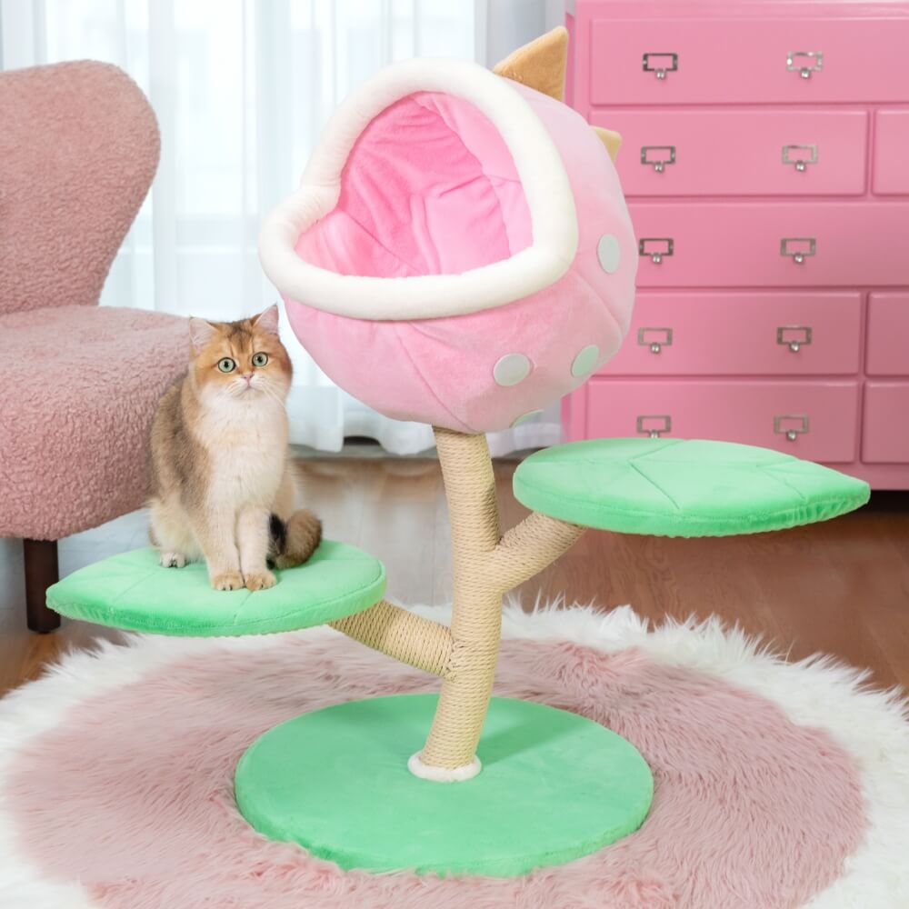 Dailypets Cat Tree Monster Flower Design with Sisal Scratching Posts