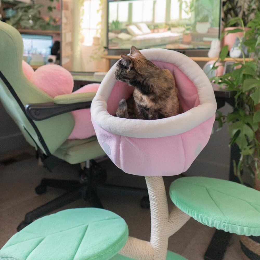 Dailypets Cat Tree Monster Flower Design with Sisal Scratching Posts