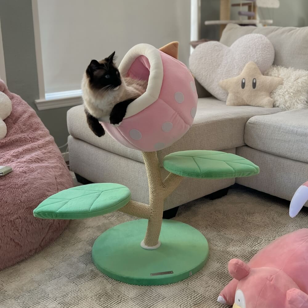 Dailypets Cat Tree Monster Flower Design with Sisal Scratching Posts