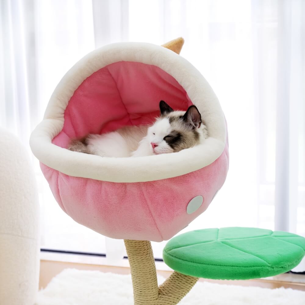 Dailypets Cat Tree Monster Flower Design with Sisal Scratching Posts