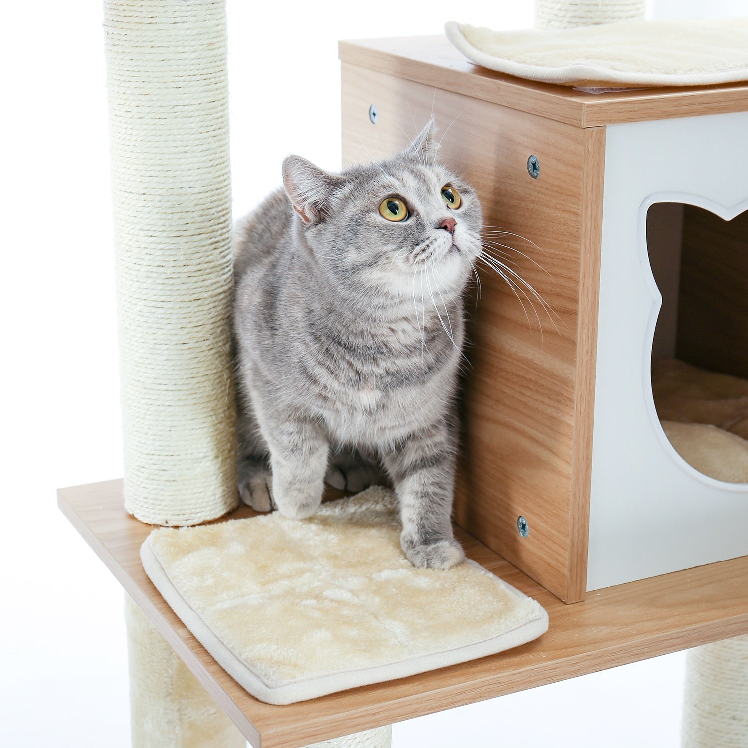 Dailypets Multi-Level Wooden Cat Tree – Solid Wood Tower with Hammock & Enclosed Cat Bed
