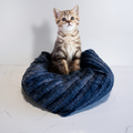 Dailypets Bolstered Cat Bed – Soft Navy Plush Sleeping Nest
