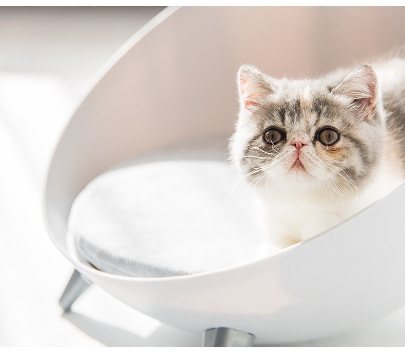 Dailypets Elevated Nordic Cat Nest – Cozy Modern Cat Bed