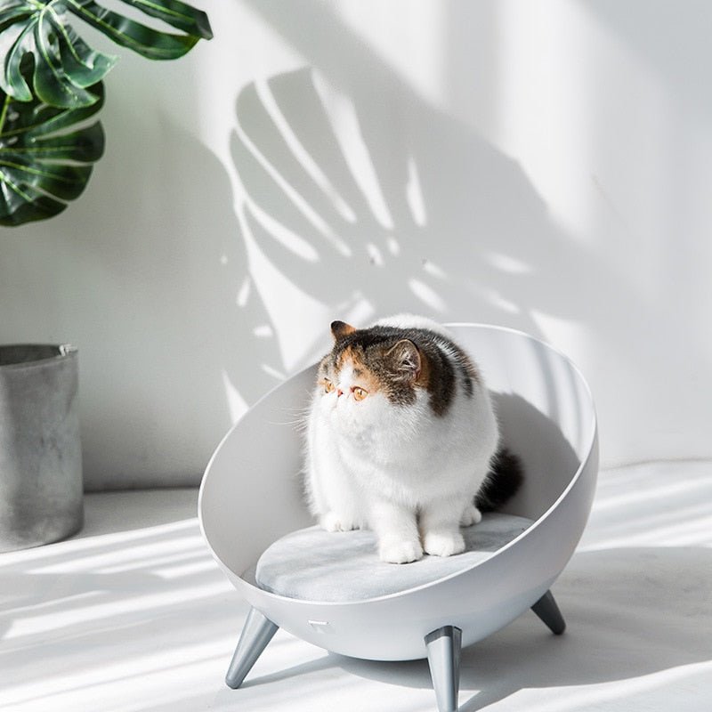 Dailypets Elevated Nordic Cat Nest – Cozy Modern Cat Bed