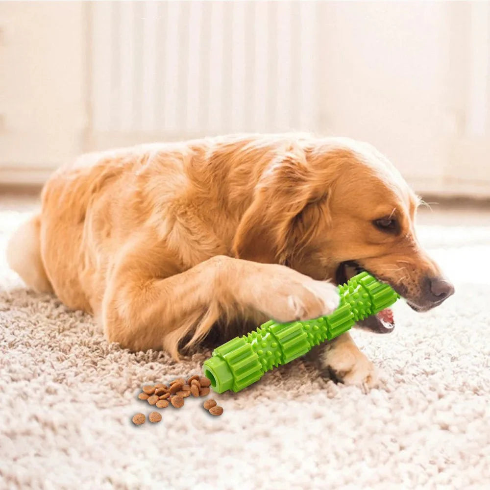 Dailypets Tough Rubber Chew Toy with Treat Dispenser for Dogs