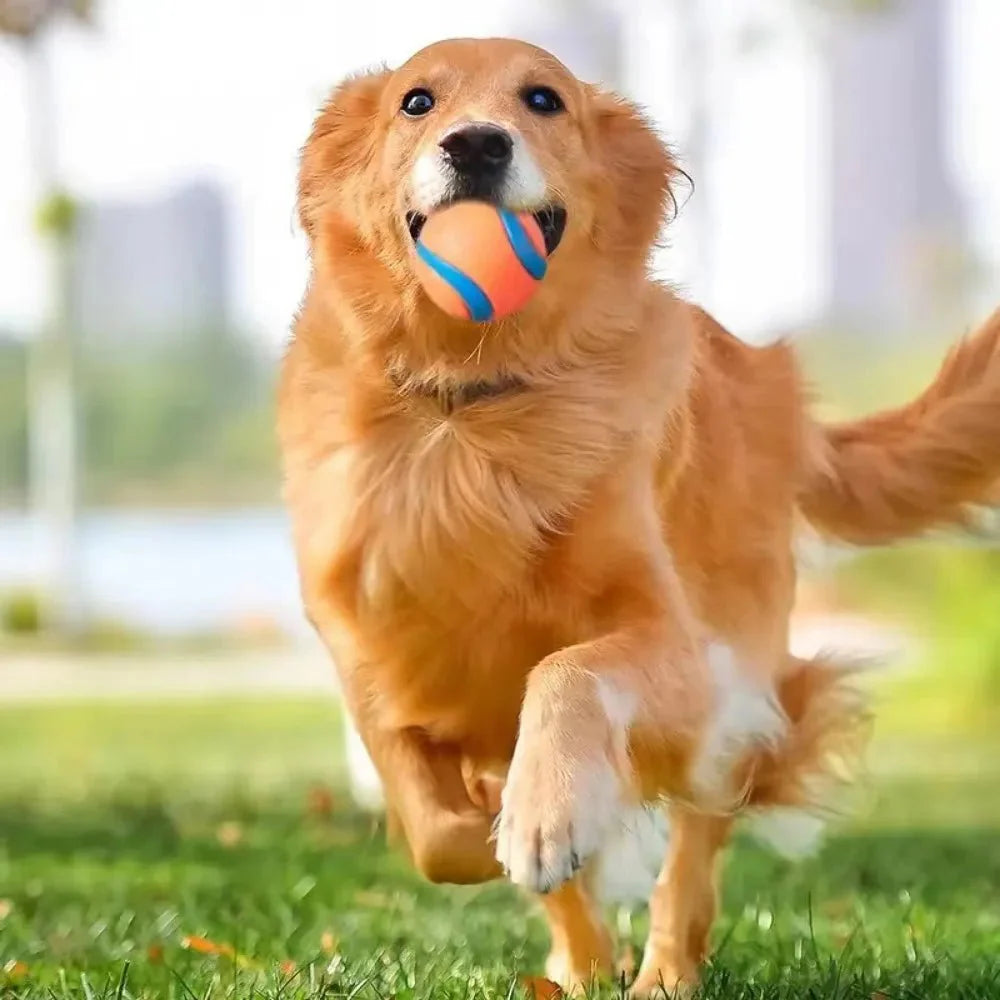 Dailypets Indestructible Dog Ball Toy for Aggressive Chewers and Interactive Fetch Play