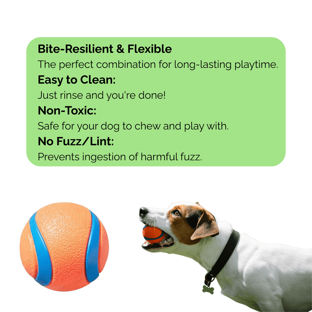Dailypets Indestructible Dog Ball Toy for Aggressive Chewers and Interactive Fetch Play