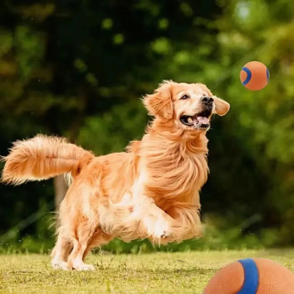 Dailypets Indestructible Dog Ball Toy for Aggressive Chewers and Interactive Fetch Play