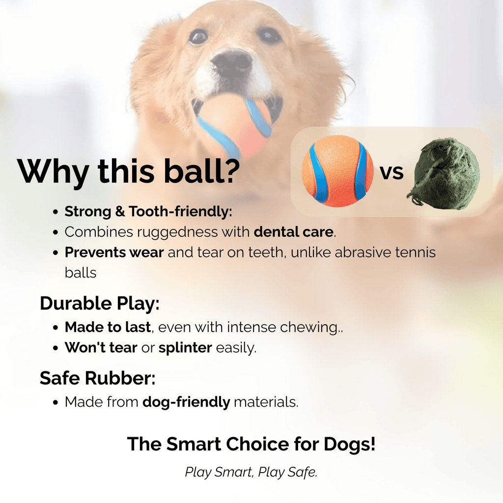Dailypets Indestructible Dog Ball Toy for Aggressive Chewers and Interactive Fetch Play