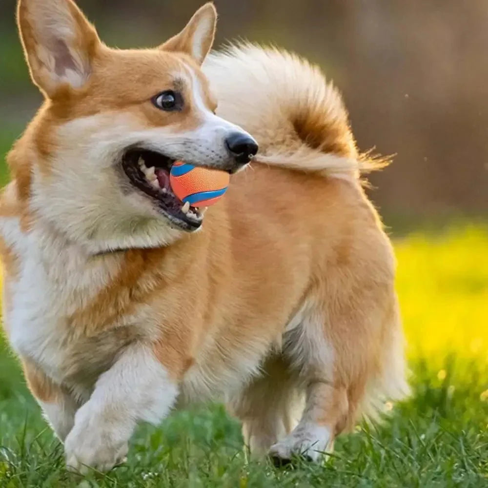 Dailypets Indestructible Dog Ball Toy for Aggressive Chewers and Interactive Fetch Play