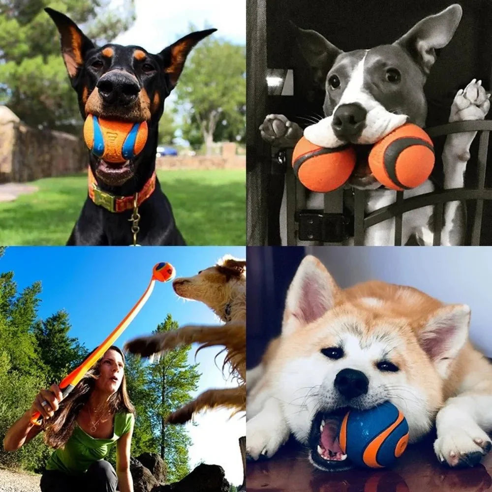 Dailypets Indestructible Dog Ball Toy for Aggressive Chewers and Interactive Fetch Play