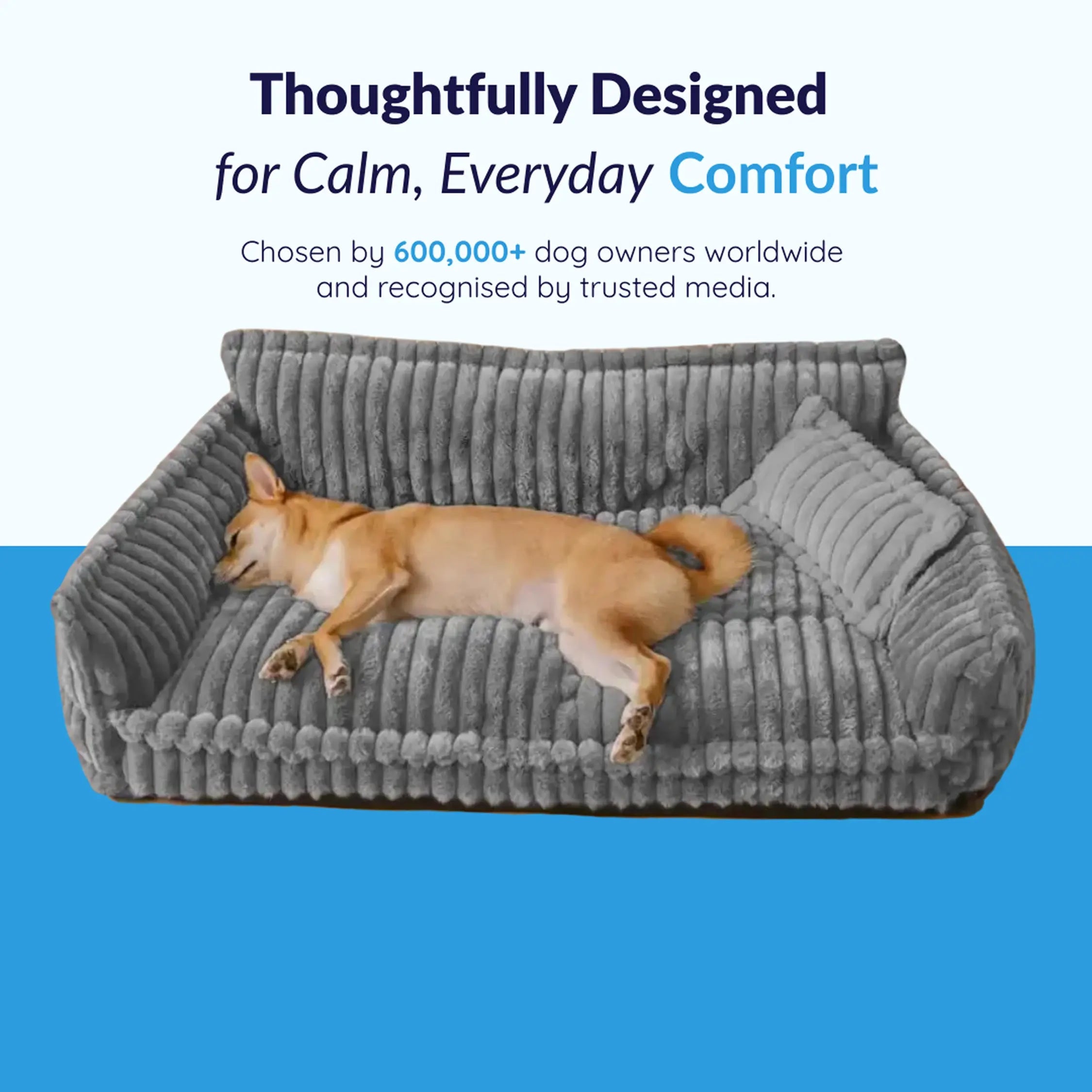 Dailypets Plush Dog Couch Bed, Washable Sofa Lounger for Cozy Indoor Rest