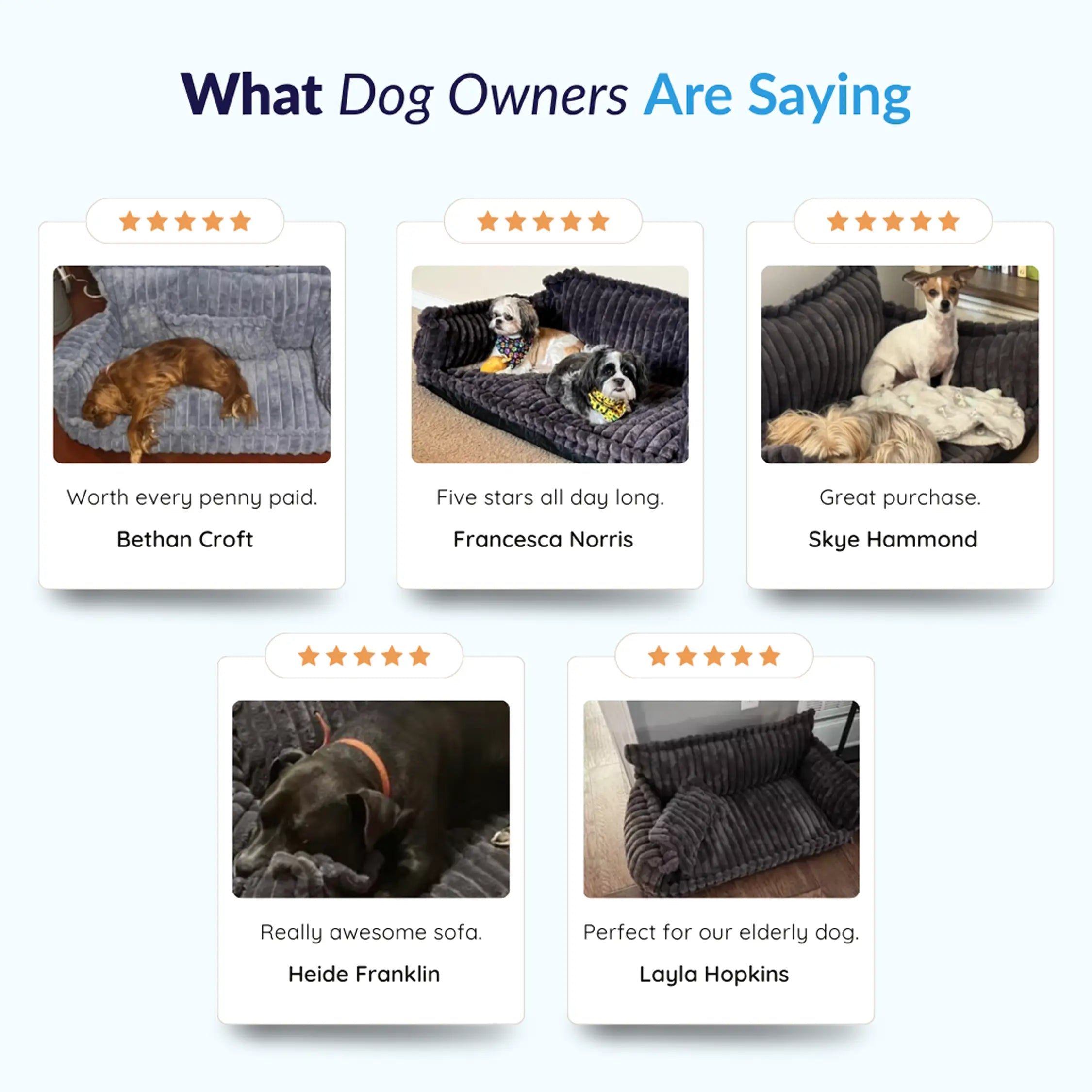 Dailypets Plush Dog Couch Bed, Washable Sofa Lounger for Cozy Indoor Rest