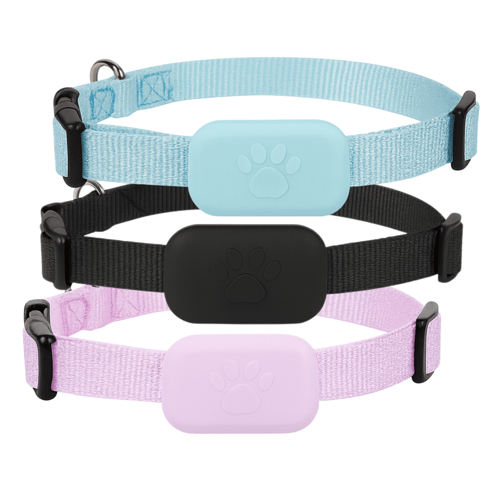 Dailypets Bluetooth Pet Locator for Apple Devices with Real-Time Find My Integration
