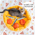 Dailypets Pepperoni Pizza Cat Bed, Plush Bed for Rest and Play
