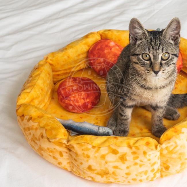 Dailypets Pepperoni Pizza Cat Bed, Plush Bed for Rest and Play