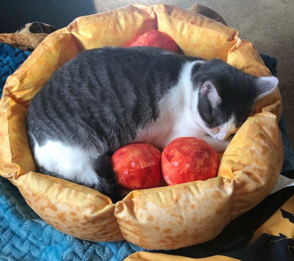 Dailypets Pizza Cat Bed Cozy Deep Dish Style Pet Nest