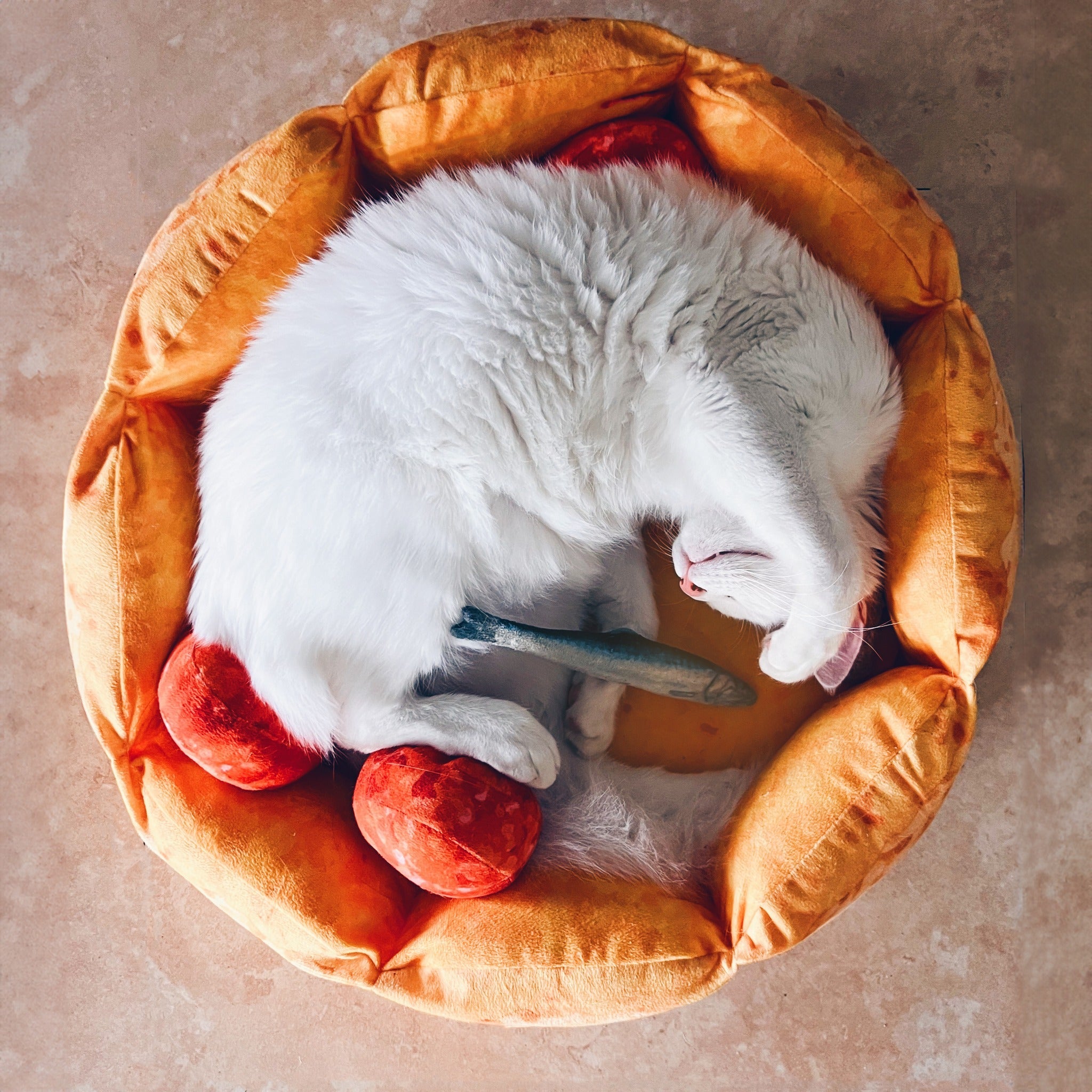 Dailypets Pepperoni Pizza Cat Bed, Plush Bed for Rest and Play