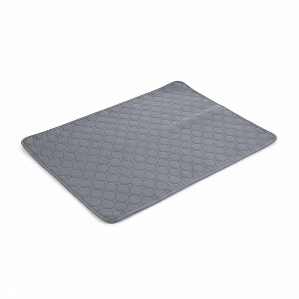 Dailypets Washable Pet Training Pad with Waterproof Base for Dogs and Puppies Daily