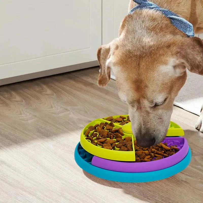 Dailypets Interactive Meal Puzzle Bowl for Slower Eating and Everyday Enrichment