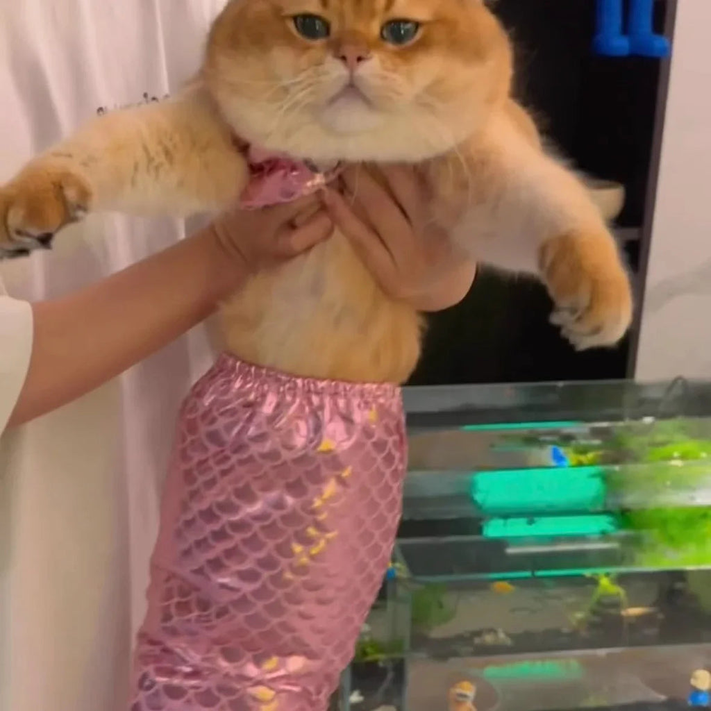 Dailypets Mermaid Cat Costume with Fish Scale Design and Matching Hair Bow