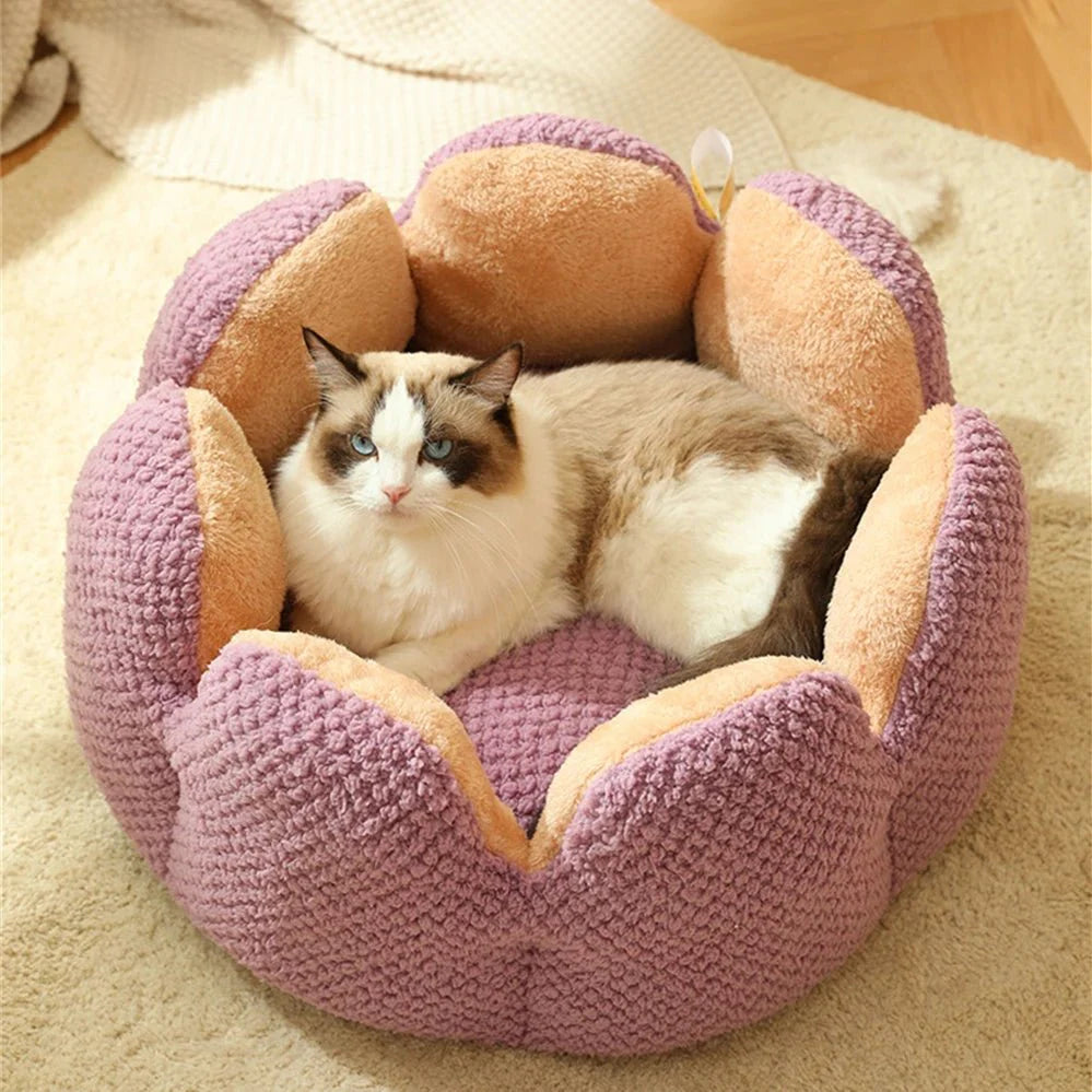 Dailypets Luxury Cat Bed, Calming Shell Throne with Anti-Slip Bottom