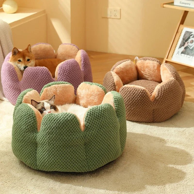 Dailypets Luxury Cat Bed, Calming Shell Throne with Anti-Slip Bottom