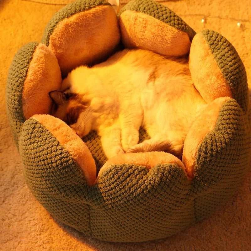 Dailypets Luxury Cat Bed, Calming Shell Throne with Anti-Slip Bottom