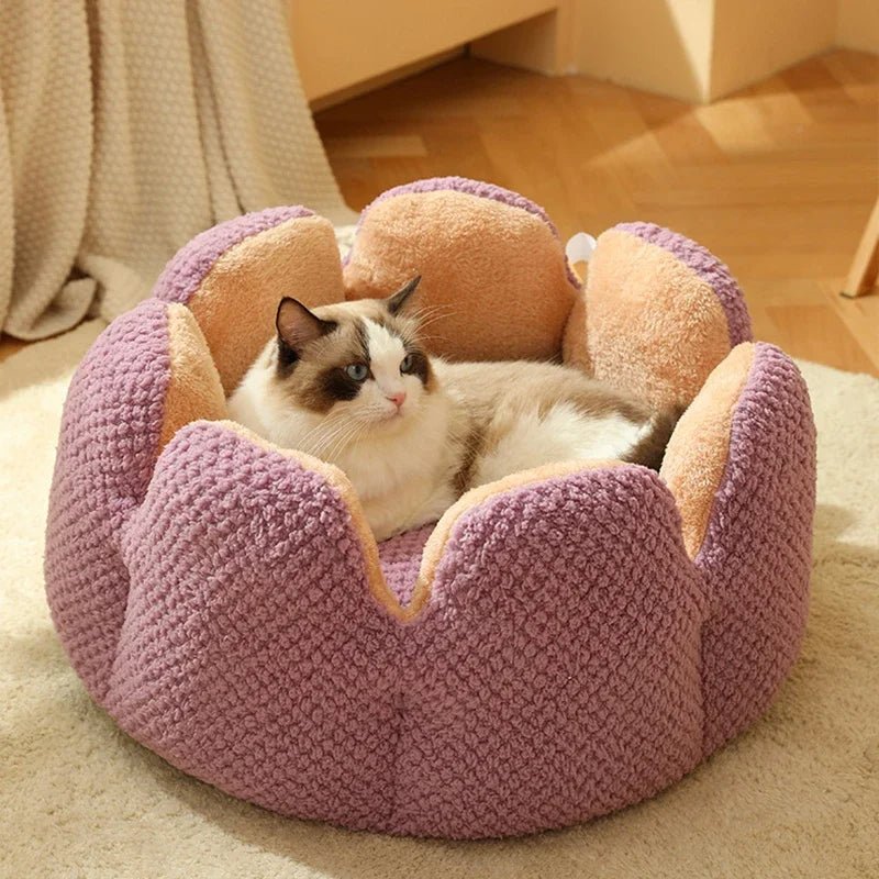 Dailypets Luxury Cat Bed, Calming Shell Throne with Anti-Slip Bottom